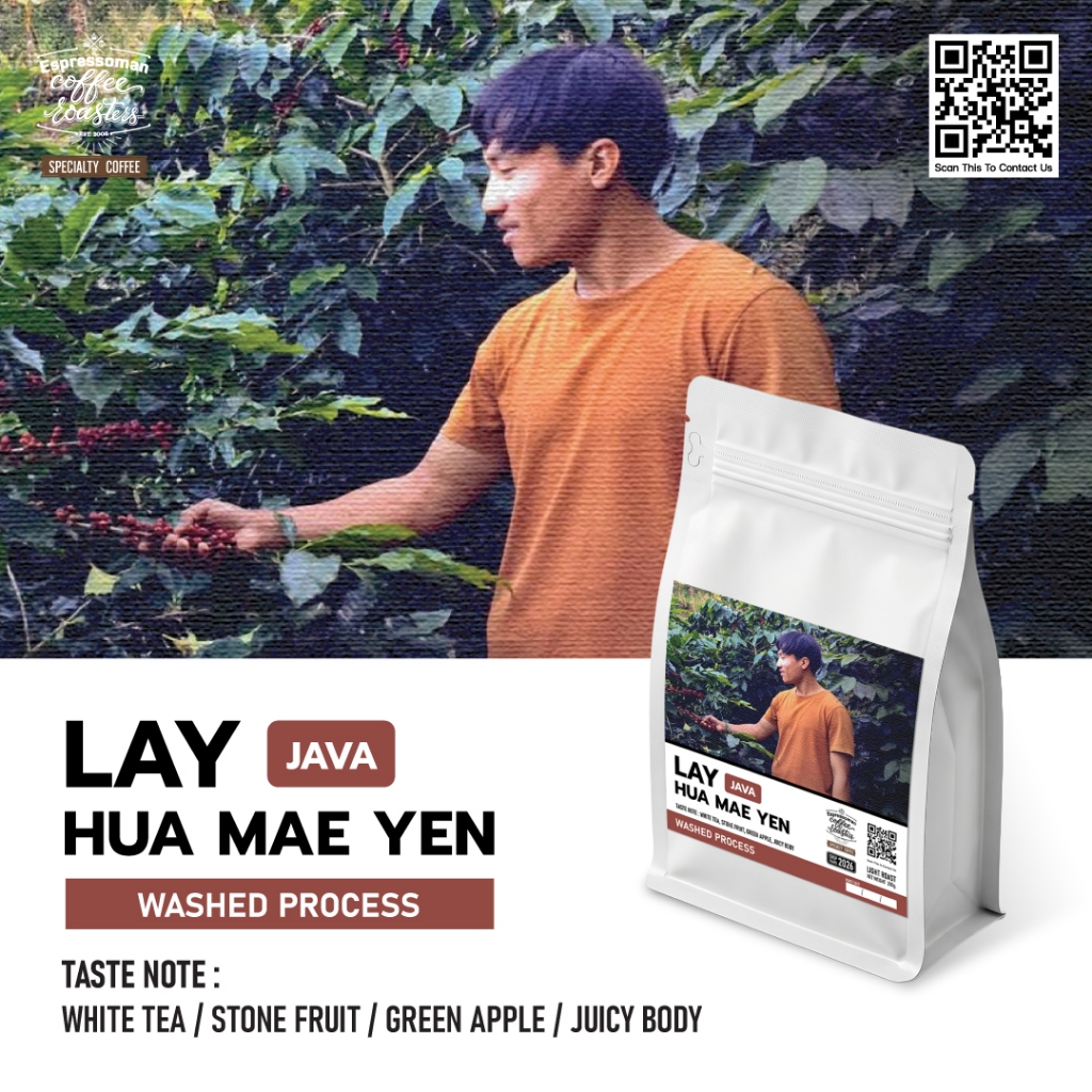 LAY HUA MAE YEN JAVA WASHED PROCESS เมล็ดกาแฟพิเศษคั่วอ่อน จากพี่เลย์ บ้านหัวแม่เย็น เหมาะสำหรับทำFilterและEspresso
