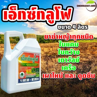 เอ็กซ์กลูโฟ ขนาด 4 ลิตร กลูโฟซิเนตแอมโมเนียม กำจัดหญ้าทุกชนิด ปลอดภัยต่อพืชที่ปลูก