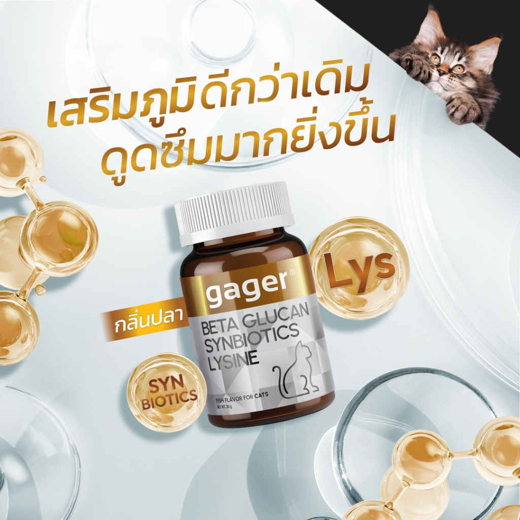 Gager (กาเจอร์) วิตามินแมว 3in1 เบต้ากลูแคน+ไลซีน+ซินไบโอติก
