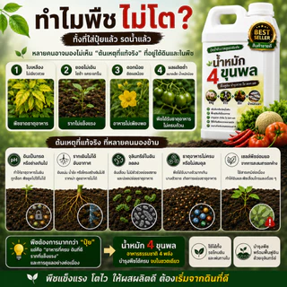 น้ำหมัก 4 ขุนพล | ปุ๋ยน้ำชีวภาพสูตรเข้มข้น จากขี้หมู ขี้วัว ขี้ไก่ และน้ำหมักปลา ฟื้นฟูดิน บำรุงราก ใบ ดอก ผล ขนาด 1ลิตร
