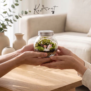 [ถูกที่สุด] ✿ ชุดจัดสวนขวด / Terrarium (DIY) *พร้อมอุปกรณ์เยอะที่สุด*