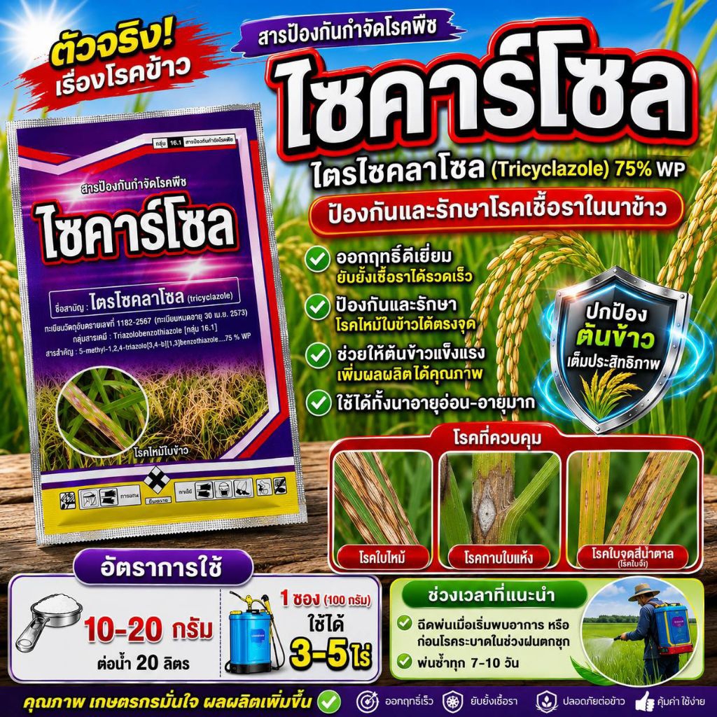 ไซคาร์โซล (Tricyclazole 75% WP)สารป้องกันและกำจัดโรคพืช สำหรับนาข้าว ออกฤทธิ์เร็วป้องกันและรักษาโรคได้อย่างมีประสิทธิภาพ