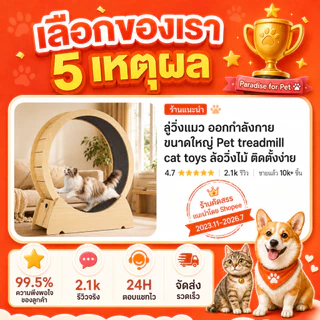 😺ลู่วิ่งแมว ออกกำลังกาย ขนาดใหญ่ ที่ออกกำลังกายสัตว์เลี้ยง Pet treadmill 4.0 Cat toys 🐾