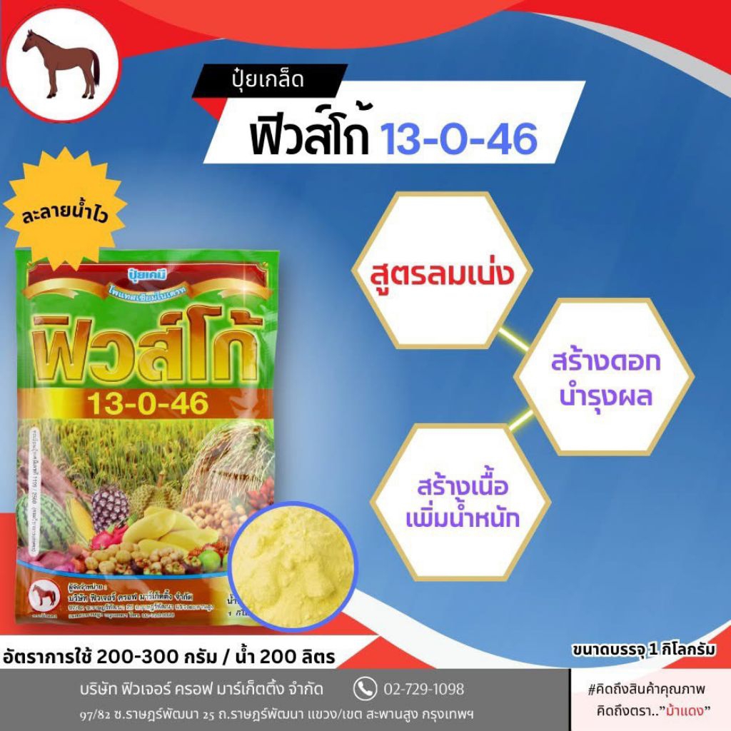 ปุ๋ยเกร็ด ฟิวส์โก้ 13-0-46 ลมเบ่ง เพิ่มแป้ง เพิ่มน้ำหนัก