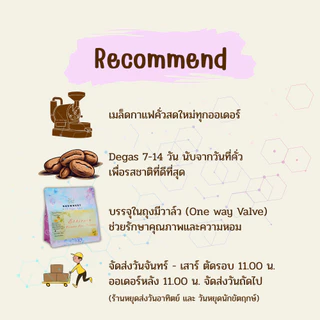 เมล็ดกาแฟคั่วอ่อน Ethiopia Djimma Limu Gummay Baby Gesha Natural - Floral • Mango • Lemon • Grape | BrewNest Roaster Lab