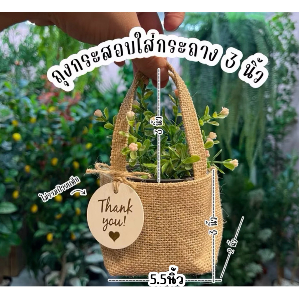 [แพ็คละ10ใบ] ถุงกระสอบ ใส่กระถาง 3นิ้ว แคนตัส ถุงใส่ต้นไม้ กระสอบ