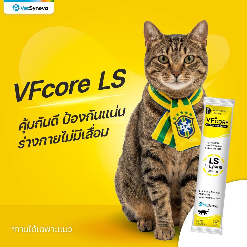 ( 30 ซอง ) VFcore ขนมแมวเลีย บำรุงแมว