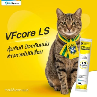 ( 1 ซอง ) VFcore ขนมแมวเลีย อาหารเสริมแมว ไลซีน, บำรุงเลือด, บำรุงข้อต่อ บำรุงร่างกาย ( 1 ซอง )