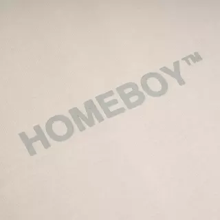 HOMEBOY เสื้อOVERSIZE HB.FREE.LINE.BASIC คอตตอน100% ใส่ได้ทุกวัน