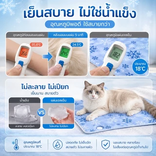 ที่นอนเจลเย็นเตียงสัตว์เลี้ยงสุนัขสากลเก้าอี้เย็นแผ่นทำความเย็น ที่นอนความเย็น และความสะดวกสบาย
