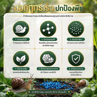 🔥รุ่นยอดฮิต กำจัดหอย 500g สลายตัวเร็วจึงทำให้ไม่มีสารพิษตกค้างในพืชและสภาพแวดล้อม ยาฆ่าหอย เหยื่อกำจัดหอย ยาฆ่าหอยทาก