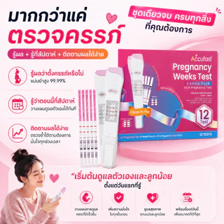 12Pcs ACCUFAST ชุดทดสอบสัปดาห์การตั้งครรภ์นับการเจริญเติบโต HCG UPT แถบทดสอบการตั้งครรภ์