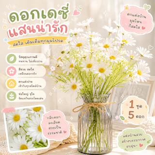 🌼 ดอกเดซี่ปลอม 1 ก้าน มี 5 ดอก สำหรับตกแต่งบ้าน ดอกไม้ปลอม ดอกไม้🏡