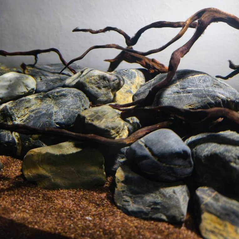 หินกรวดแม่น้ำ สำหรับจัดตู้ลำธาร ตู้ปลาสวยงาม Biotope ตู้ไม้น้ำ 1 คำสั่งซื้อได้ 3 กิโลกรัม