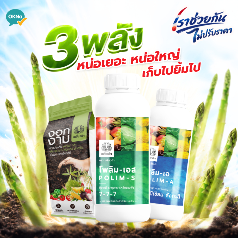 [ปุ๋ยหน่อไม้ฝรั่ง] ชุด 3 พลัง สุดยอดปุ๋ยที่เพิ่มรายรับทุกวัน ดกขึ้น ไซส์ใหญ่ขึ้น ทนต่อโรคและหนอน ตราเหยี่ยวดำ