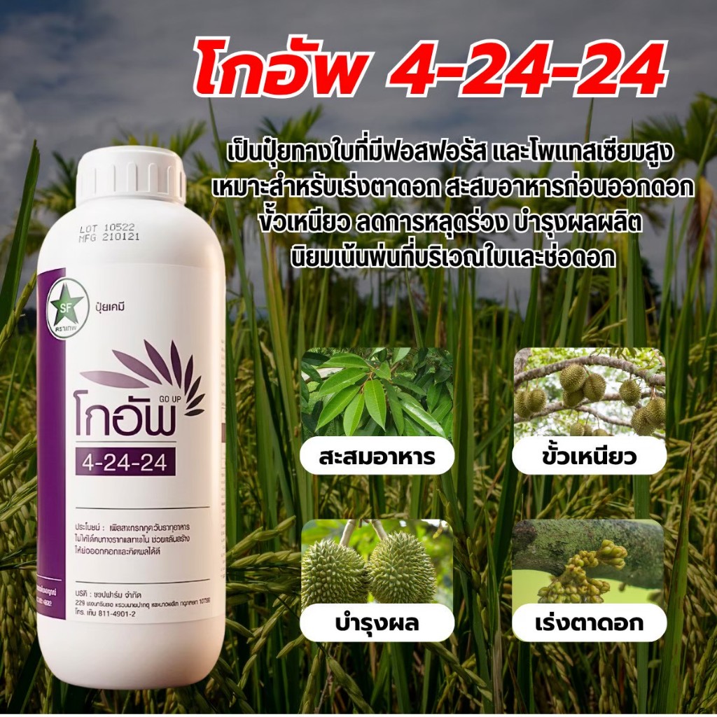 ปุ๋ยน้ำโกอัพ 4-24-24 สูตรเร่งดอก เร่งผลอาหารทางใบพืชนำไปใช้ได้ทันทีเร่งการเจริญเติบโต