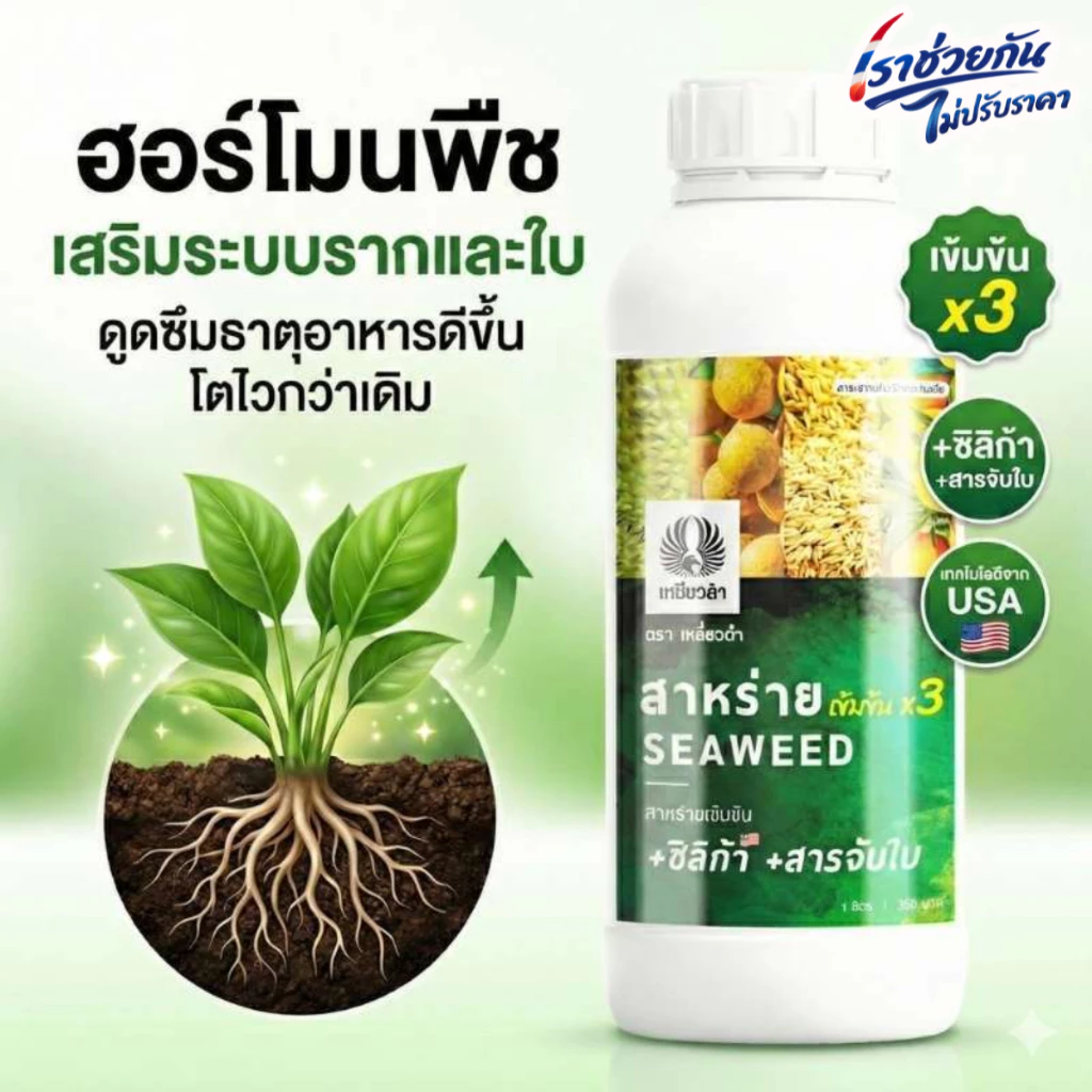ฮอร์โมน [สาหร่ายทะเลเข้มข้นสูตรน้ำ] 1L ทำใบ ดึงดอก บำรุงต้น แก้ต้นโทรม ใบเหลือง ปุ๋ยน้ำ ปุ๋ยเหยี่ยวดำ