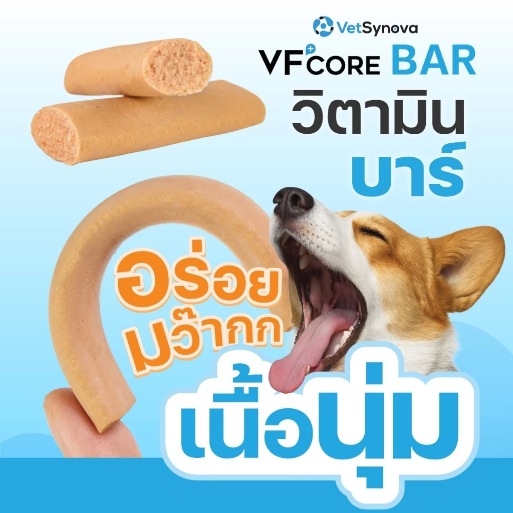(สินค้าสมนาคุณงดจำหน่าย) VFcore Bar วิตามินบาร์สำหรับสุนัข สูตร Bio ปรับสมดุลลำไส้ จำนวน 1 ซอง thumbnail 3