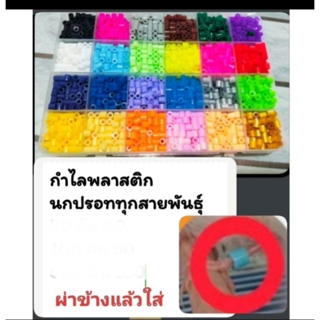 กำไลขานก​พลาสติก​(แบบผ่าข้าง)​นกปรอททุกสายพันธุ์​