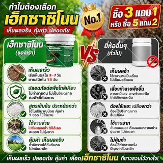 🔥รากเน่ารากไม่ขึ้นอีก🔥 ยากำจัดต้นไม้ใหญ่ 500g สารกำจัดกอไผ่ ผงกำจัดต้นไผ่ ยาฆ่าตอไม้ กำจัดวัชพืชรากเน่า