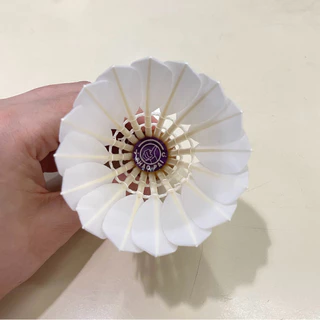ลูกแบดมินตัน CHAO PAI สีม่วง PURPLE