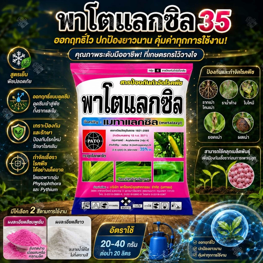 เมทาแลกซิล 35% (1 กิโลกรัม) พาโตแลกซิล สีชมพู สีขาว กำจัดเชื้อรา รากเน่า โคนเน่า เน่าคอดิน ราน้ำค้าง