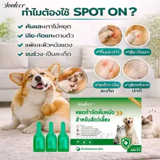 【ซื้อ1แถม1】ผลิตภัณฑ์กำจัดเห็บหมัดแบบหยด สำหรับสัตว์เลี้ยง 1กล่อง/3ชิ้น