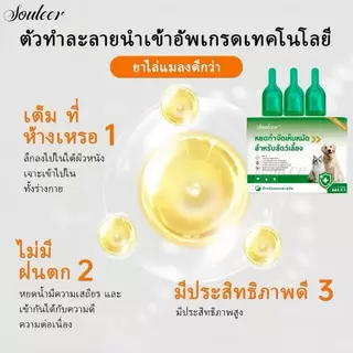 【ซื้อ1แถม1】ผลิตภัณฑ์กำจัดเห็บหมัดแบบหยด สำหรับสัตว์เลี้ยง 1กล่อง/3ชิ้น