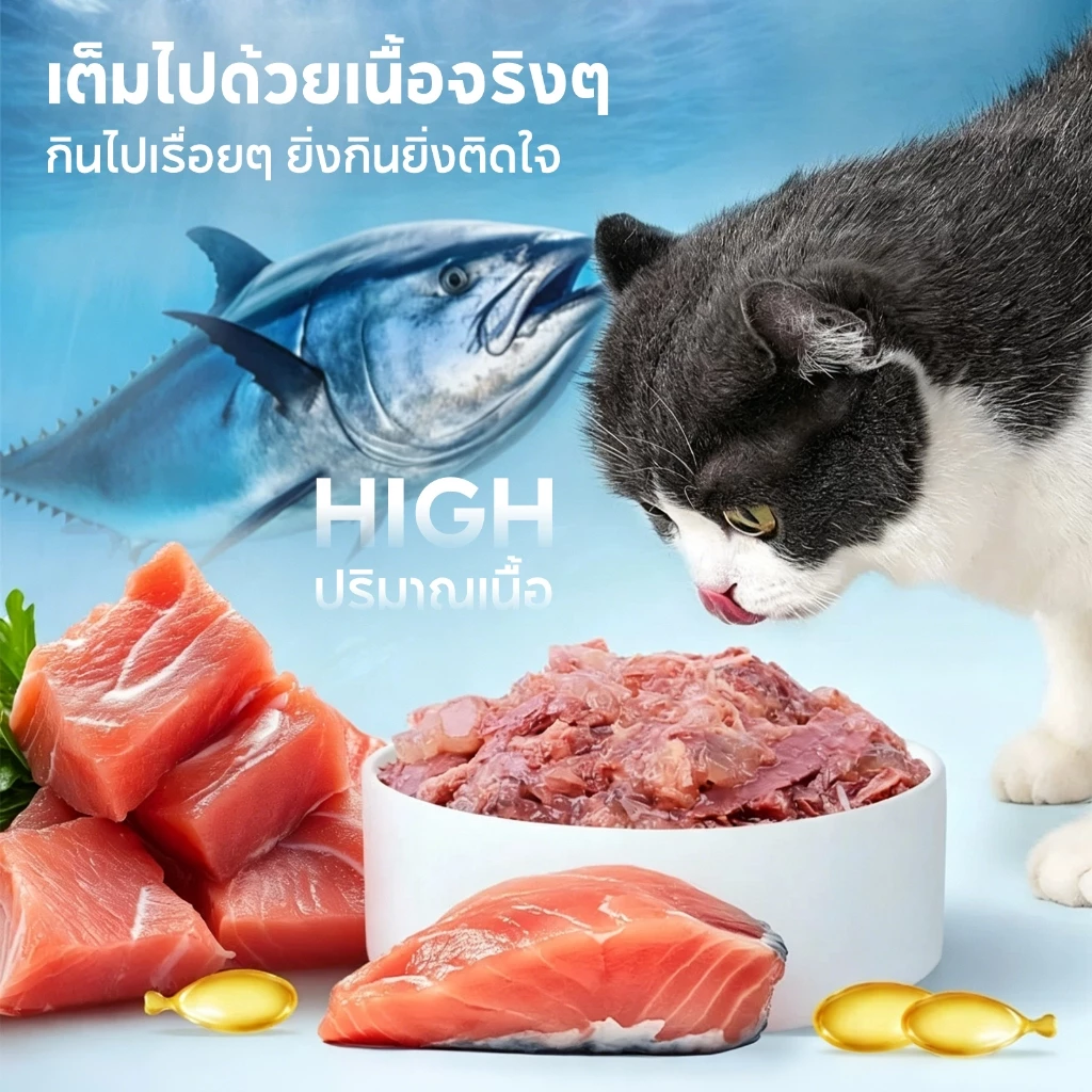 สินค้าใหม่ กระป๋องทูน่าเนื้อแดงแมว PET RECORD 430g 3รส โปรตีน≥30% น้ำซุปช่วยดื่มน้ำ โอเมก้า3 บำรุงขน แมวทุกวัย thumbnail 9