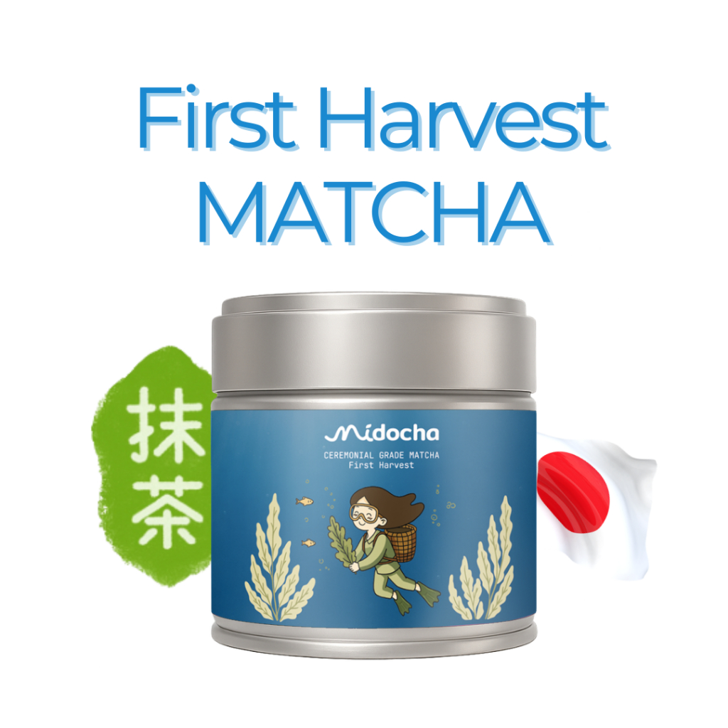 YOKO : 1st Spring Harvest Matcha
