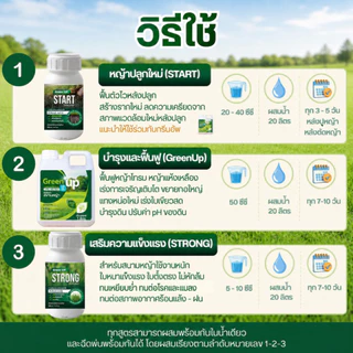 Green up บำรุงหญ้า เร่งหญ้าเขียว แก้หญ้าเหลือง ปุ๋ยสนามหญ้า สำหรับหญ้าทุกสายพันธุ์ ใบเขียว แข็งแรง