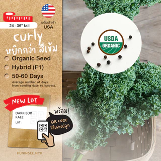 🇺🇸 เมล็ดนำเข้า เมล็ดเคล เคล เคลใบหยิก ผักเคล Curly Kale (Organic Seed) สายพันธุ์ดี คะน้าเคล จากสหรัฐอเมริกา ปันอินทรีย์