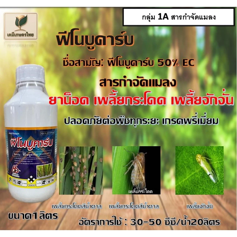 ฟีโนบูคาร์บ50 (1 ลิตร) ฟิโนบูขาบ ฟิโนบูคาร์บ สารป้องกันกำจัดเพลี้ย ยาน็อค ออกฤทธิ์เร็ว เพลี้ยกระโดด เพลี้ยจั้กจั่น