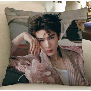พร้อมส่ง 💗 หมอน จางหลิงเฮ่อ นุ่มฟู น่ากอด หมอน + ปลอก แถมโฟโต้การ์ดค่ะ