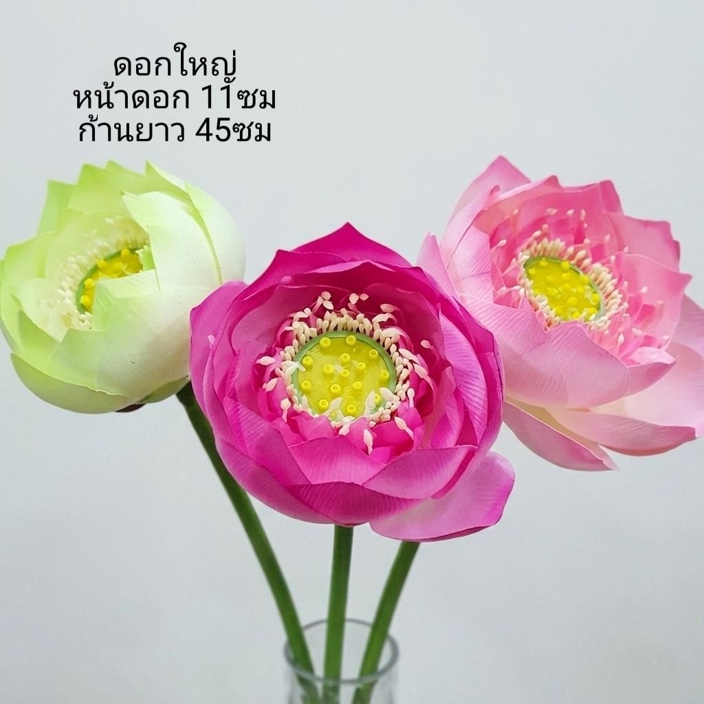 ดอกบัว งานเกรดพรีเมี่ยม ดอกบัวเสมือนจริง