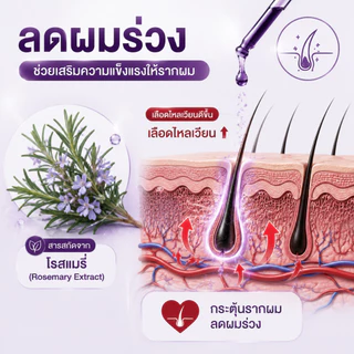 CHAABA น้ำมันเซรั่มสมุนไพร แก้ผมบาง-ผมร่วง ช่วยให้ผมหนานุ่ม 35ml