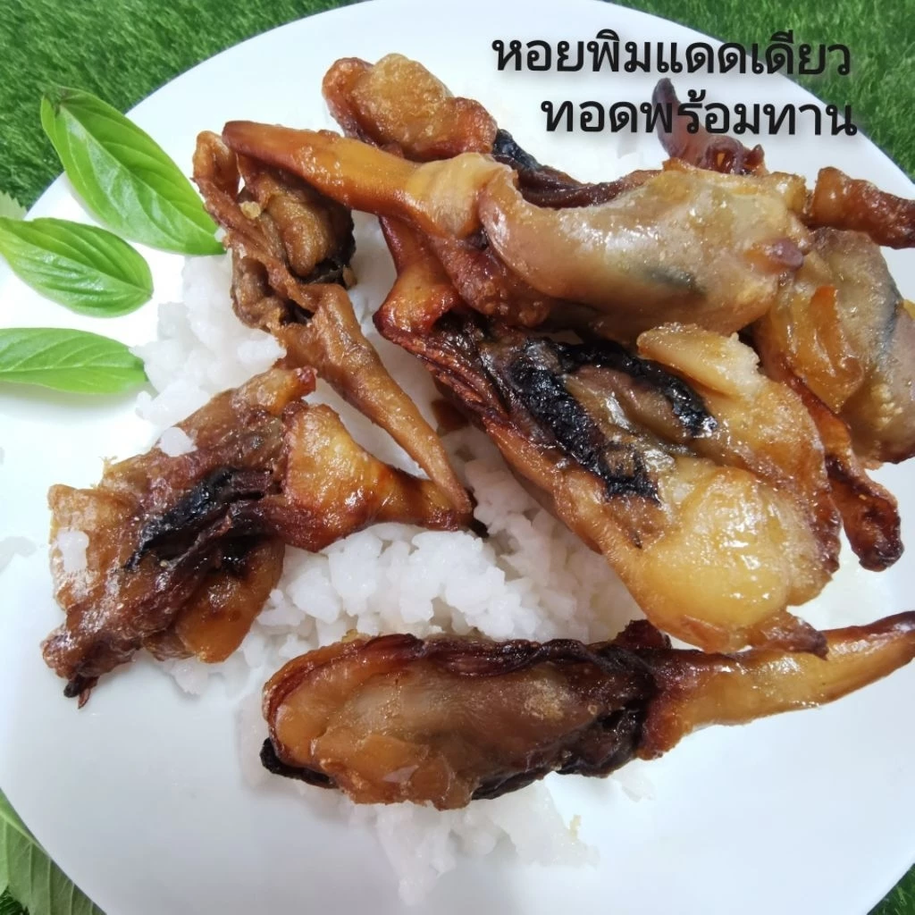 หอยพิมแดดเดียว ทอดพร้อมทาน 500 กรัม ตัวใหญ่มาก(ชั่งน้ำหนักก่อนทอด ทอดแล้วน้ำหนักจะลดลง) หอยพิมแท้ อร่อย