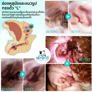 ELAIMEI ไรหูแมว ไรหูสุนัข สุนัข แมว สุนัขหูเหม็น แมวหูเหม็น ลดบวมแดง ทำความสะอาดหู สุนัข แมว