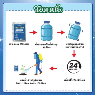 เจนแบค ขนาด 1 กิโลกรัม ควบคุมโรคพืช โรคโคนเน่า โรครา โรคเหี่ยว โรคใบชุด โรคแอนแทรคโนส