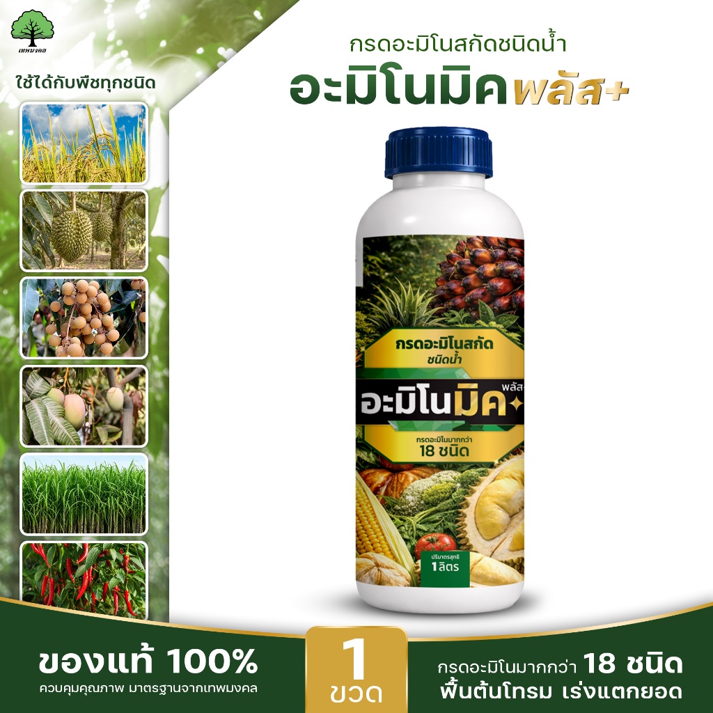 อะมิโนมิคพลัส ตราเทพมงคล ขนาด 1 ลิตร กรดอะมิโนสกัดเข้มข้น เสริมพืชทางใบ ชนิดน้ำ เร่งบำรุงพืชทุกชนิด