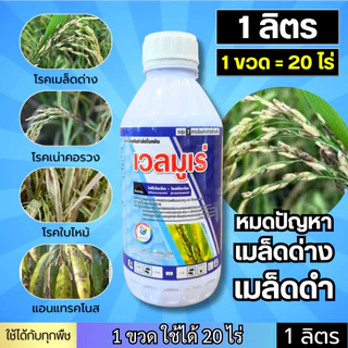 เวลมูเร่ (ขนาด 1 ลิตร) เมล็ดด่าง เมล็ดดำ "ดูดซึม" โรคแอนแทรคโนส กาบใบแห้ง ใบจุดตากบ ราสนิม ใบไหม้ โรคสแคป 1 ลิตร