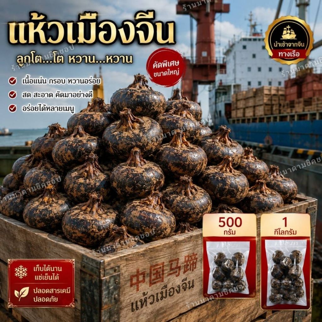 แห้วดิบลูกใหญ่ แห้วเมืองจีน (น้ำหนัก500กรัม และ 1กิโลกรัม) กรอบ หวาน อร่อย สินค้านานๆจะเข้าไทยนะคะ