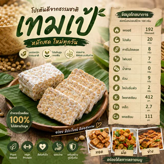 เทมเป้สด(บ่มเอง)(สั่ง5แถม1)ถั่วเหลืองหมักจากธรรมชาติไม่ผ่านกระบวนการปรุงแต่งใดๆ