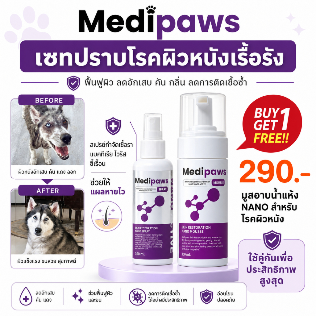 Medipaws Nano Active  สเปรย์ฆ่าเชื้อ สมานแผล ปราบโรคผิวหนังเรื้อรัง  สำหรับสัตว์เลี้ยง 100 ml.