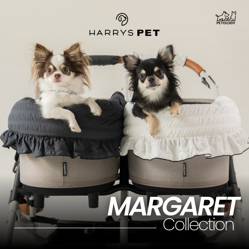 Petology - Harryspet Liner Margaret the Lace