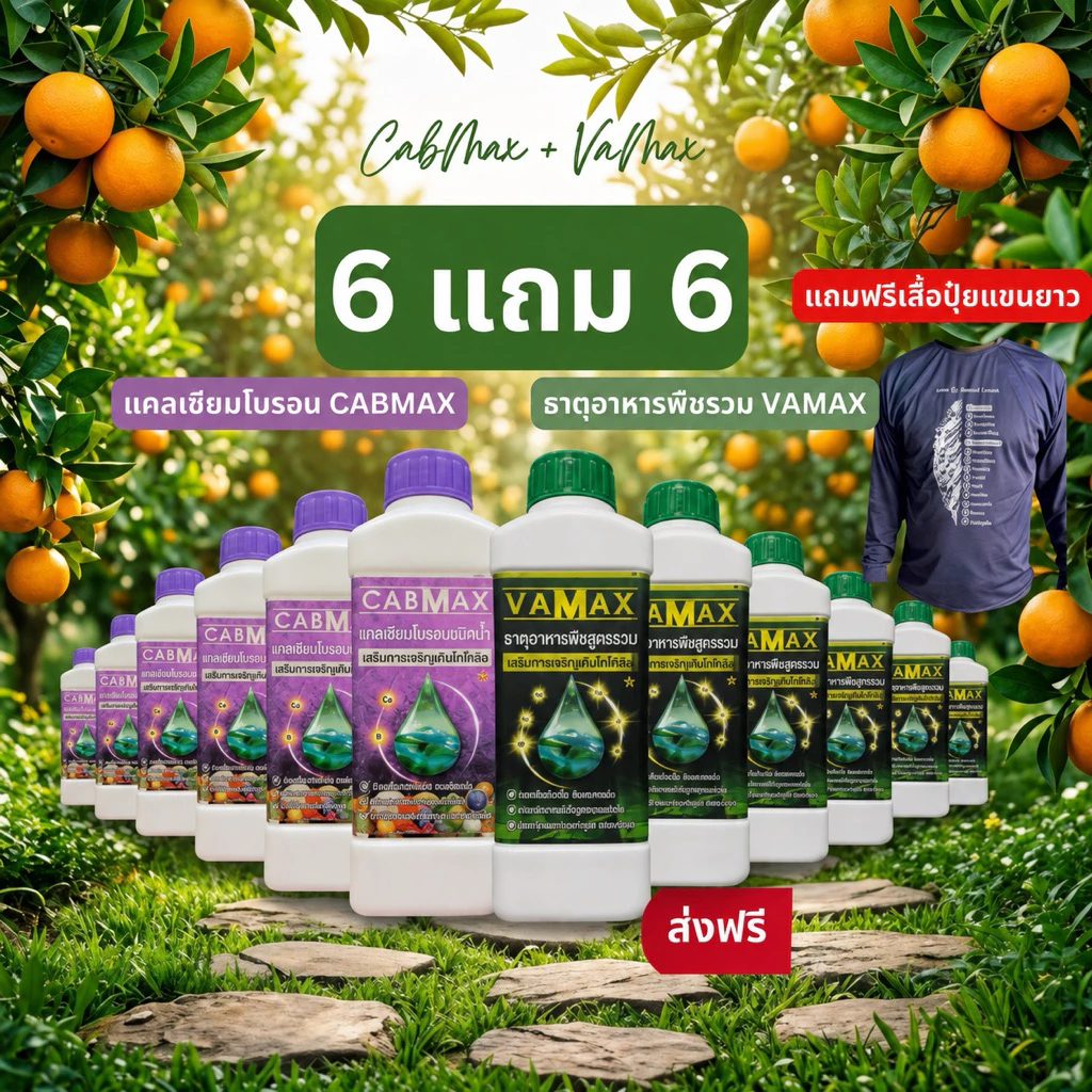 📦ยกลัง [12ขวด] ✅แถมเสื้อปุ๋ย CABMAX+VAMAX แคลเซียมโบรอนเข้มข้ม แถม ปุ๋ยธาตุรวม (V6+C6+เสื้อ)