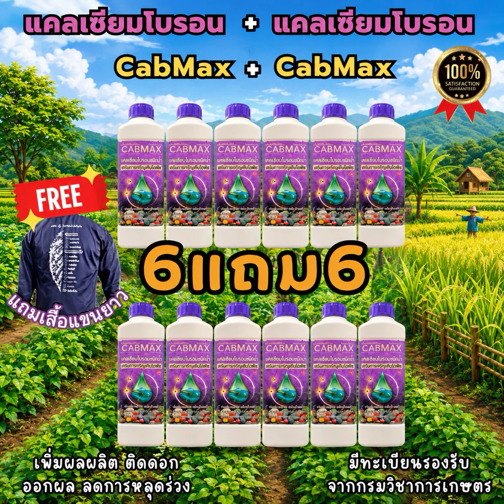 📦ยกลัง12ขวด (แถมเสื้อปุ๋ย) ปุ๋ยแคลเซียมโบรอนเข้มข้น CABMAX [6แถม6] ช่วยให้ขั้วเหนียว ลดการหลุดร่วง (C12+เสื้อ)