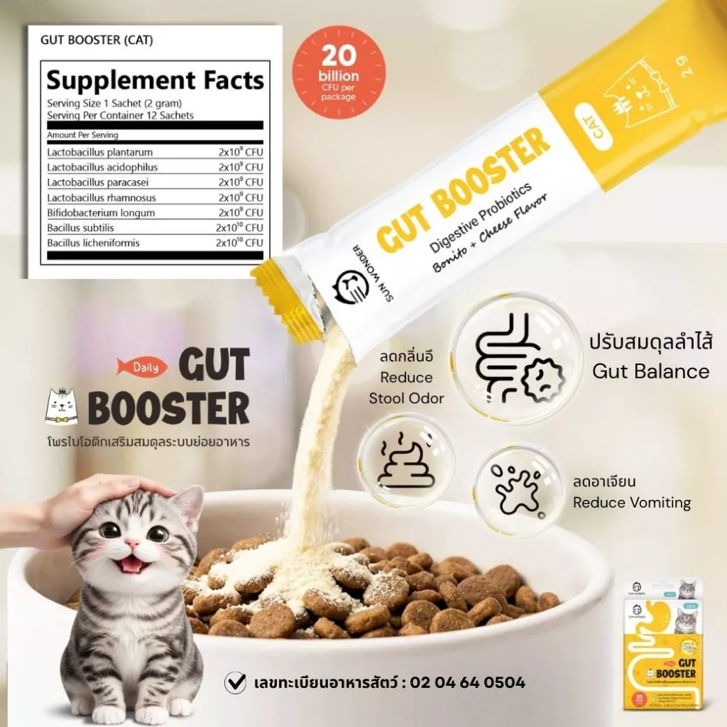 (1 กล่อง/12 ซอง) SUN WONDER GUT BOOSTER อาหารเสริมโพรไบโอติกเสริมสมดุลระบบย่อยอาหาร สูตรสำหรับแมว
