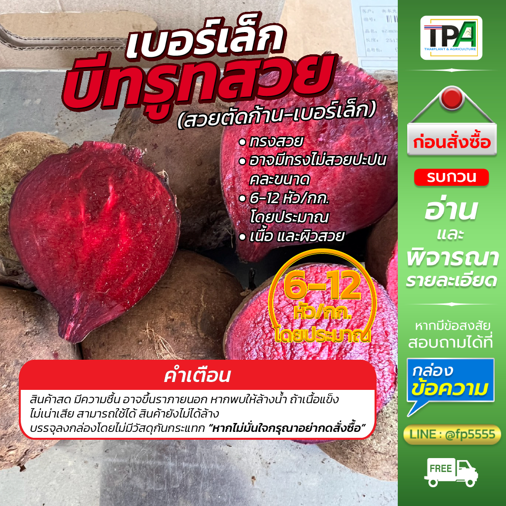 บีทรูท - Beet root (สวยตัดก้าน-ฺฺเบอร์เล็ก-01) 1, 2, 3, 4, 5 กก./Kg. คละขนาด 6-12 หัว/กก. โดยประมาณ