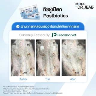 DR.JEAB+ ทิชชู่เปียกสำหรับสัตว์เลี้ยง หอมนาน ฆ่าเชื้อ 99.99% ใน 30วิ ลดกลิ่น ลดคัน อ่อนโยน ปลอดภัย พัฒนาโดยสัตวแพทย์
